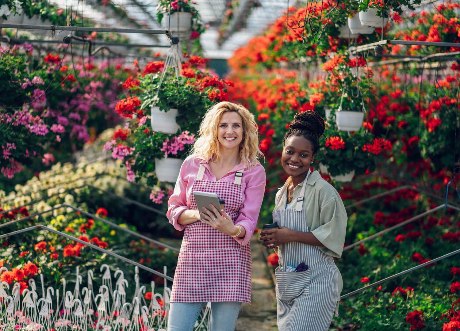 Home-Decor-and-Garden